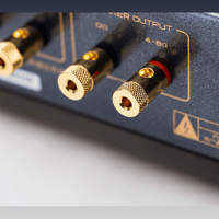 Cayin MT-12N variant 5