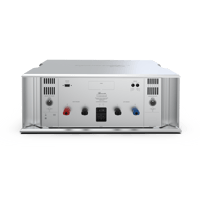 Burmester 216 variant 3