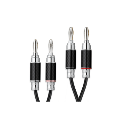 Pro-ject Audio Systems - USA Connect it LS RS