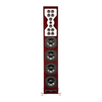 McIntosh Labs XR100 Floor Standing Loudspeaker variant 3