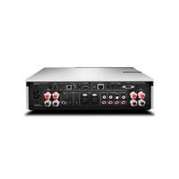 Cambridge Audio Evo 150 DeLorean Edition variant 6