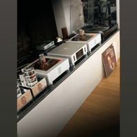 AGD Production Andante MKII variant 20