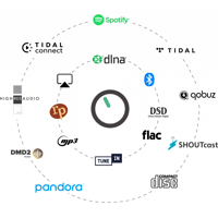 Orchard Audio PECANPI+ STREAMER PREMIUM variant 5