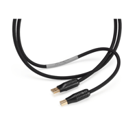 Shunyata Research THETA USB variant 2