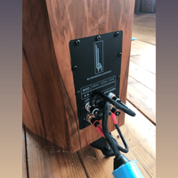 Blumenhofer Acoustics Gran Gioia 2x10" variant 12