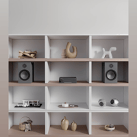 Arylic LA50 Streaming Amplifier variant 9