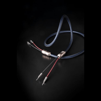 Allnic/ZL Technologies ZL-8000S Speaker Cable variant 1