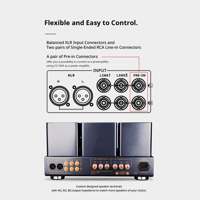 Cayin CS-150A variant 5