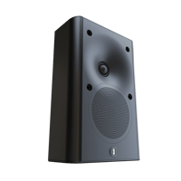 Perlisten X2w variant 5