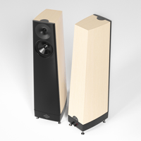 YG Acoustics Talus variant 7
