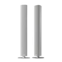 Piega usa Ace 50 Wireless Floorstanding Speakers [Pair] variant 1