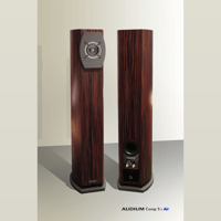 Audium Comp 7.2 Air variant 3