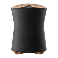 Sony RA5000 Premium Wi-Fi Enabled 360 Reality Audio Speaker variant 1