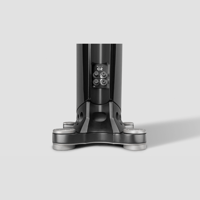 Borresen Acoustics Børresen C2 variant 7