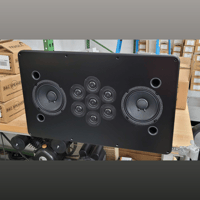 Tekton Design 1 pcs Double Impact in-wall center black finish – $1000 delivered variant 1