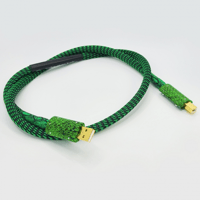 Snake River Audio Boomslang Digital USB variant 3