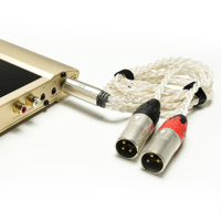 ifi Audio iDSD Valkyrie Bundle variant 7