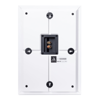 Argon Audio FORUS 5 WALL variant 2