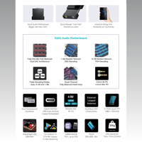 Cayin N6iii R202 variant 2