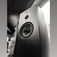 Acoustic Energy corinium variant 18