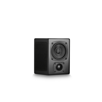 M&K Sound M40T Speaker variant 3