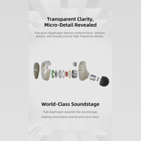 Sivga Audio Flat Glass Dynamic Diaphragm wired IEM variant 13