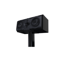 Perlisten R5c variant 2