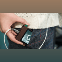 Astell & Kern AK100 II variant 4