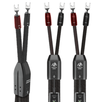 AudioQuest Dragon BiWire COMBO variant 4