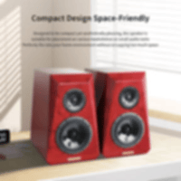 Denafrips Neptune two-frequency bookshelf speaker variant 5