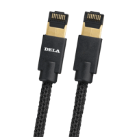 DELA - Melco Audio Dela C100 variant 1
