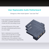 Cayin N6iii variant 7