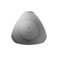 B&O-Bang & Olufsen  Beolab 50 Ferrari Edition variant 5