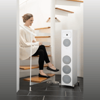 MartinLogan Motion Foundation F2 variant 27