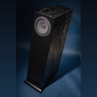 Davis Acoustics MV One Master variant 19