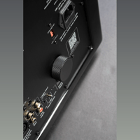 MartinLogan Abyss 10 variant 31