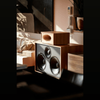 Pitt & Giblin SUPERWAX variant 3