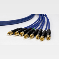 Nuprime X ANA-Core DB25-RCA variant 2