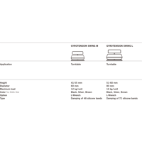 Hifistay GYROTENSION SWING variant 5