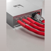 Omega Audio Concepts MONO DNA variant 5