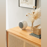 Elipson PLANET M (pair) variant 13