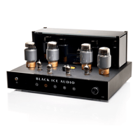 Black Ice Audio Fusion F35 V.2 Integrated Tube Amplifier - 95 WPC* (Black or Silver) variant 11