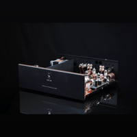 SW1x LPU III Balanced Phono Pre-Amplifier variant 18