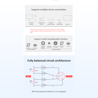FX Audio R06-High-quality balanced line architecture headphone amplifier variant 4