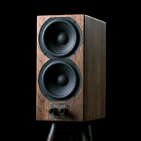 Buchardt Audio E50 variant 5