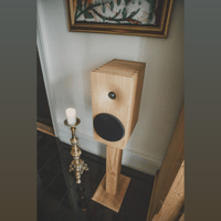 Buchardt Audio E50 variant 20