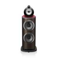 Bowers & Wilkins 801 Abbey Road Limited Edition variant 1