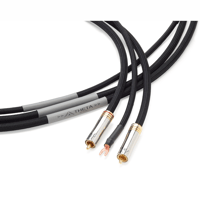 Shunyata Research THETA Phono variant 3