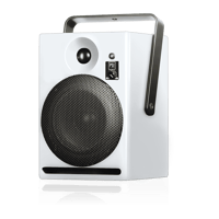 PSI Audio A14-M Broadcast variant 4