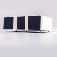 Wilson Audio WASAE Center Channel variant 8